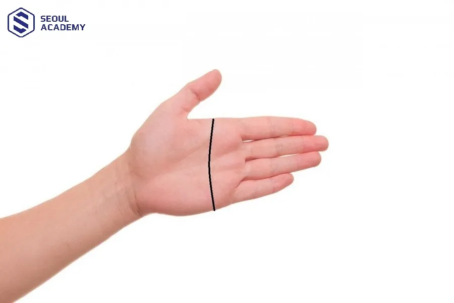 Đường chỉ tay chữ Nhất là trường hợp đặc biệt có đường Tâm đạo và Trí đạo nhập làm một