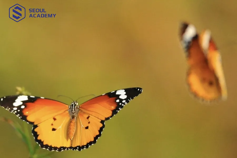 Bướm vàng vào nhà tình duyên thuận lợi