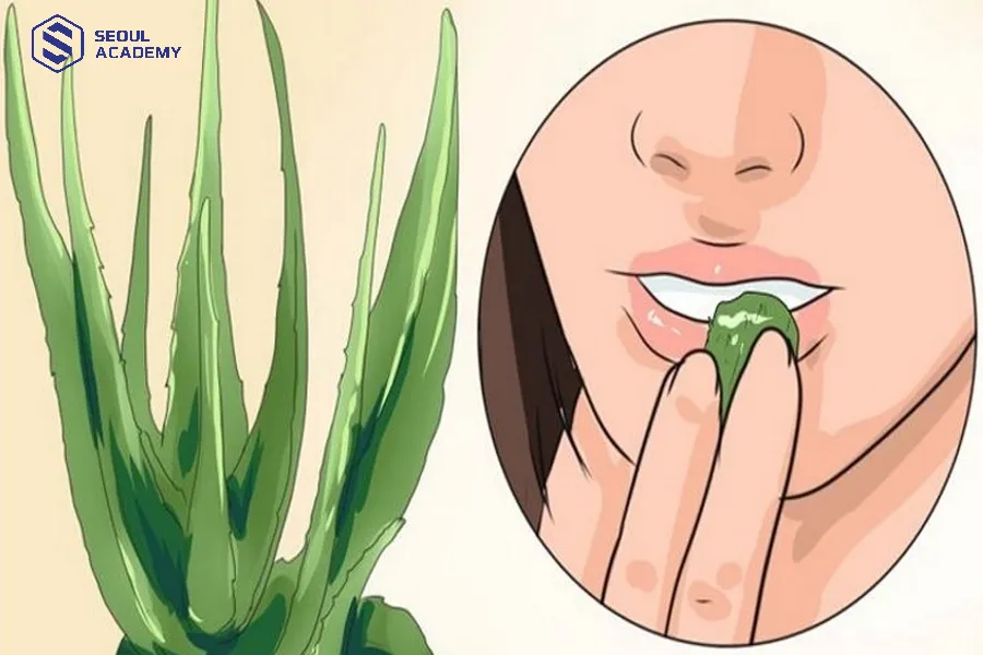 Nha đam giúp môi mỏng và căng mọng