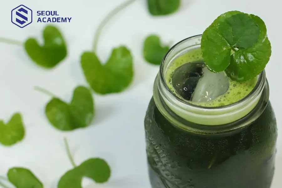 Nước ép rau má cực kỳ phù hợp để giải nhiệt mùa hè