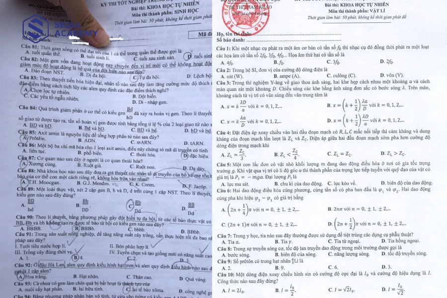 Cấu trúc môn thi Vật lý gồm 40 câu trắc nghiệm
