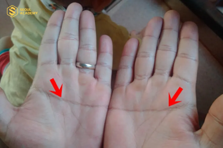 Đường chỉ tay hình chữ nhất thường chia lòng bàn tay thành hai phần rõ rệt Đường chỉ tay hình chữ nhất thường chia lòng bàn tay thành hai phần rõ rệt