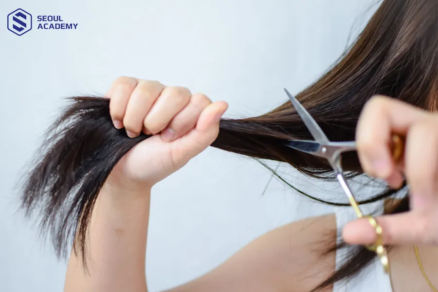 Tránh cắt tóc ngày đầu tháng