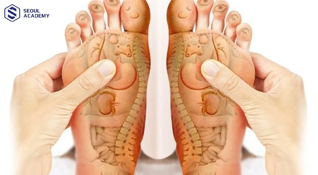 Tìm hiểu các lợi ích và tác động của huyệt đạo bàn chân lên cơ thể Tìm hiểu các lợi ích và tác động của huyệt đạo bàn chân lên cơ thể