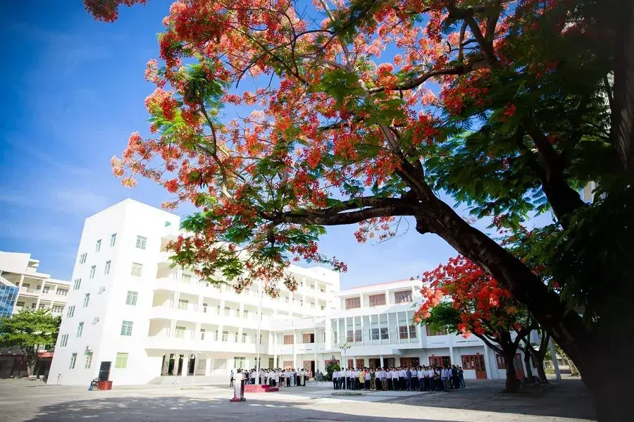 Trường Cao đẳng Giao thông vận tải Trung ương V là ngôi trường công lập đào tạo đa dạng các ngành nghề