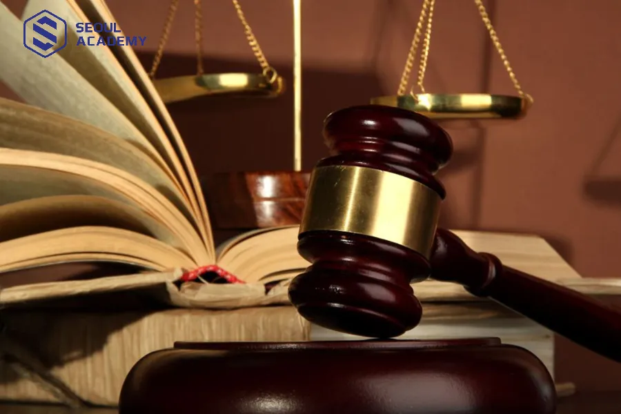 Các nhóm ngành luật đặc biệt được nhiều người học khối tự nhiên lựa chọn