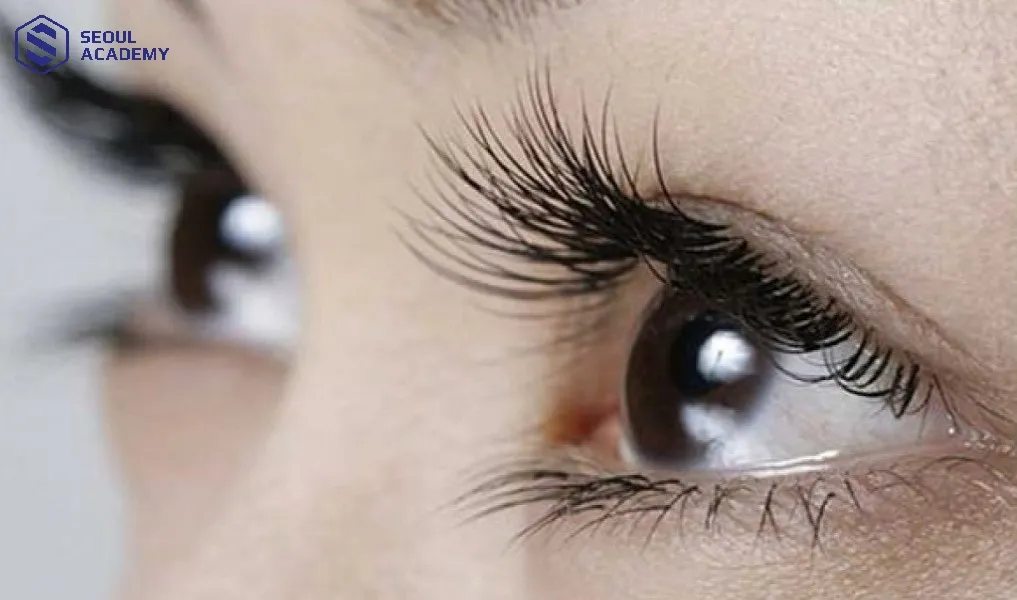 Người Á Đông có xu hướng hàng lông mi không quá dài Người Á Đông có xu hướng hàng lông mi không quá dài