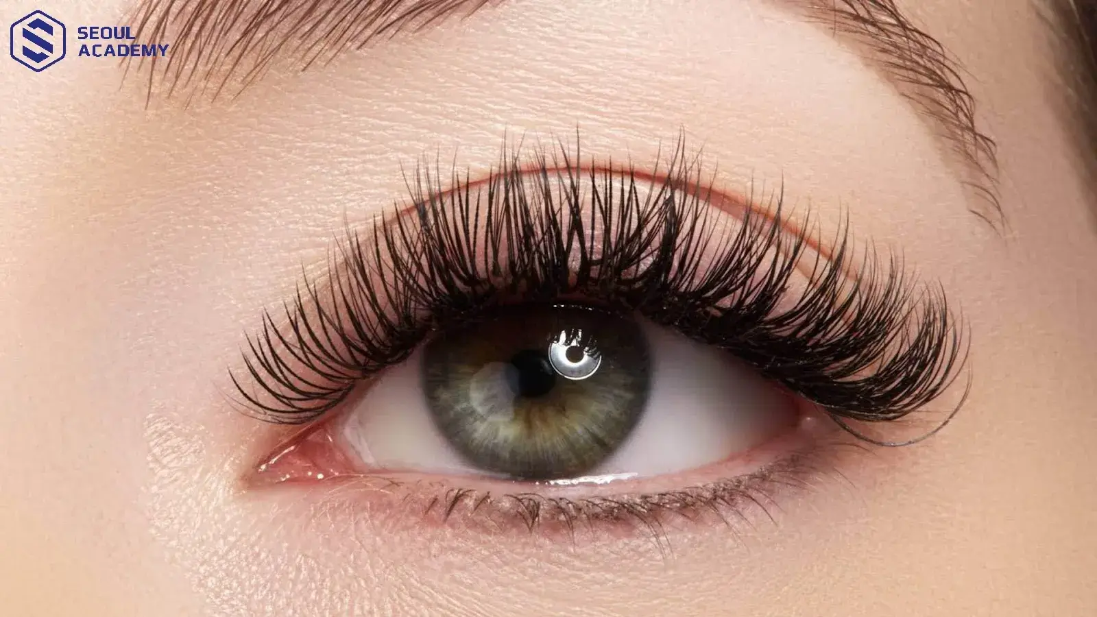 Tùy thuộc vào từng nhu cầu sử dụng và đặc điểm của đôi mắt mà cần lựa chọn size mi nối phù hợp Tùy thuộc vào từng nhu cầu sử dụng và đặc điểm của đôi mắt mà cần lựa chọn size mi nối phù hợp