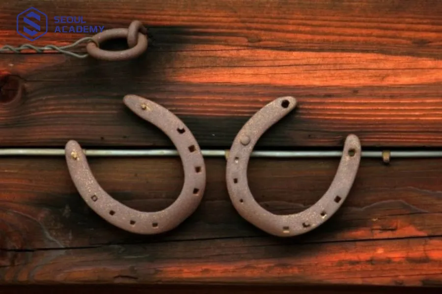 Móng ngựa là vật may mắn của người Mỹ và Ấn Độ