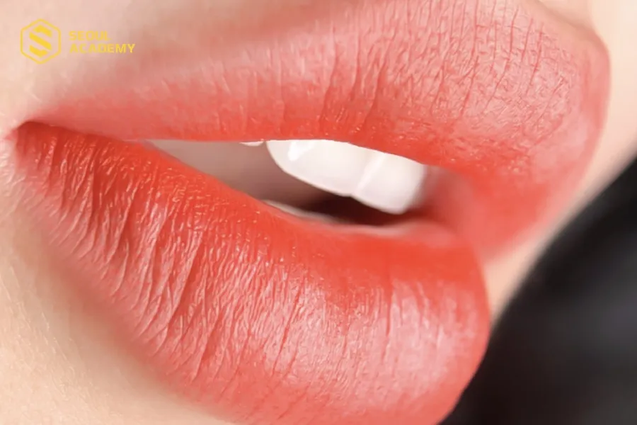 Dáng môi dày siêu đẹp khi phun môi màu đỏ cam