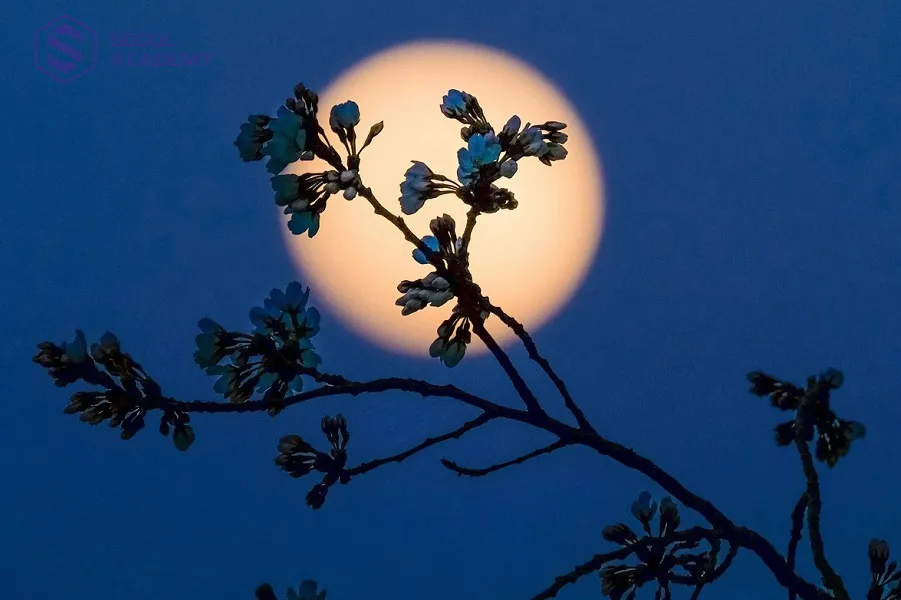 Cần chú ý kiêng kỵ vào ngày rằm