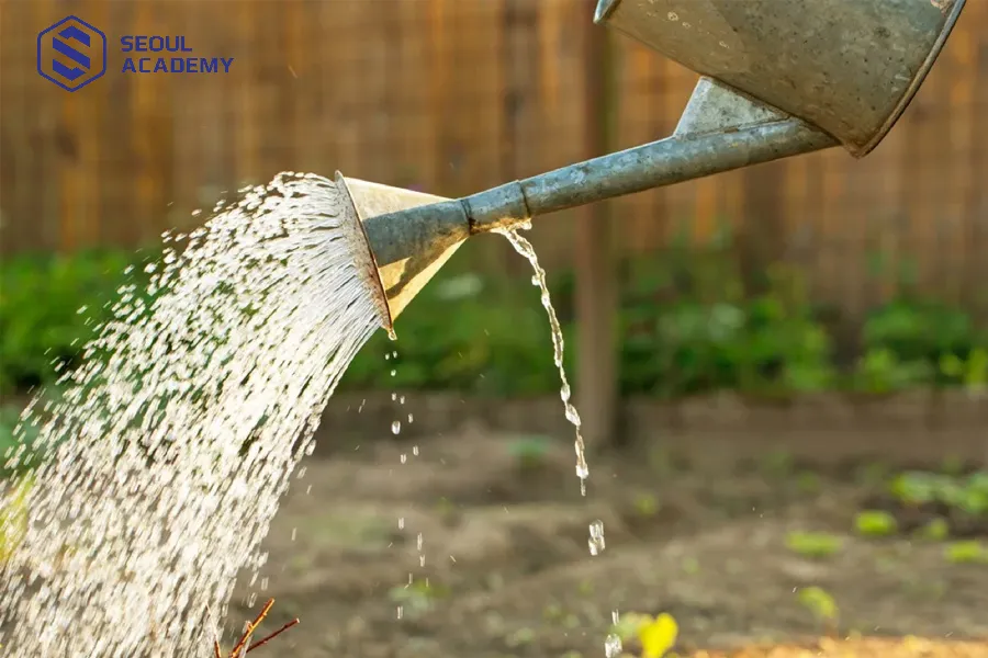 Tránh tưới cây vào ngày rằm để gặp vận xui rủi