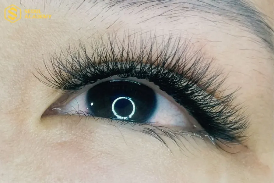 gắn nhiều sợi mi giả siêu mảnh lên cùng một sợi mi thật.