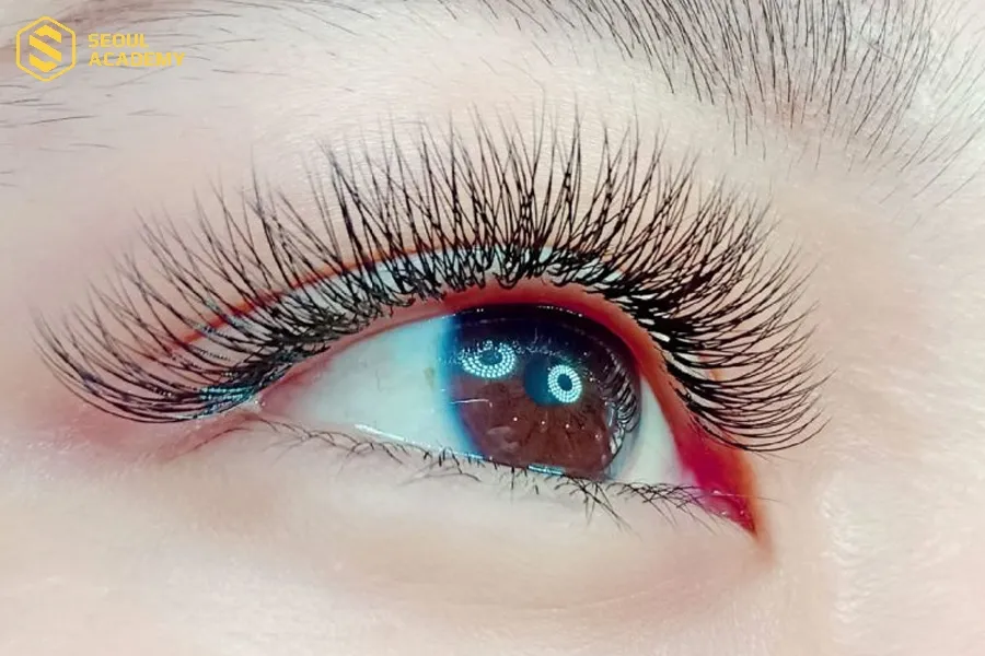 Mi volume cánh thiên thần