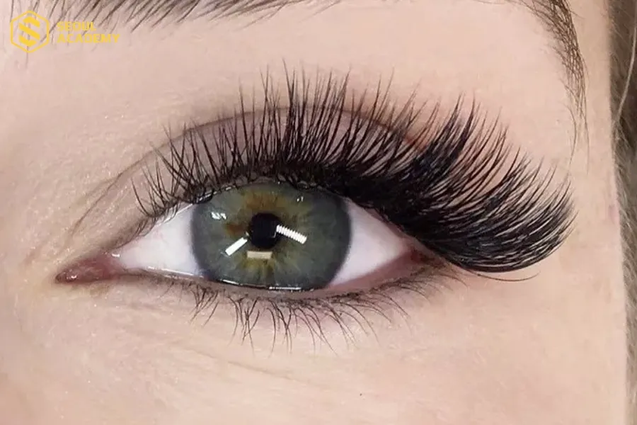 Nối mi volume mắt mèo