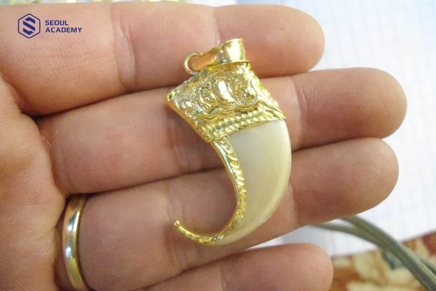 Đeo móng hổ giúp thu hút tài lộc là tín ngưỡng văn hoá dân gian