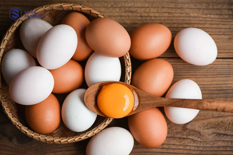 Trứng là đáp án cho thắc mắc ăn gì để học bài nhanh thuộc