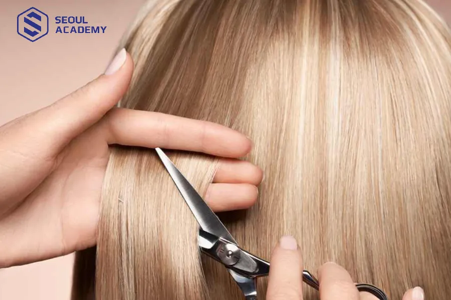 Mọi người có thể cắt tóc vào ngày mùng 3 hàng tháng