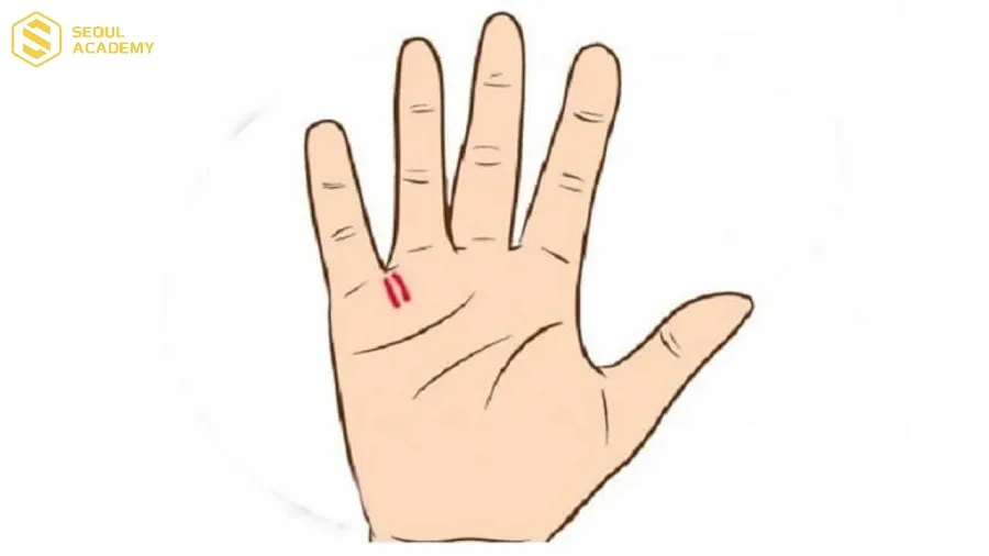 Quan sát đặc điểm các đường chỉ tay và ký hiệu đặc biệt trên bàn tay