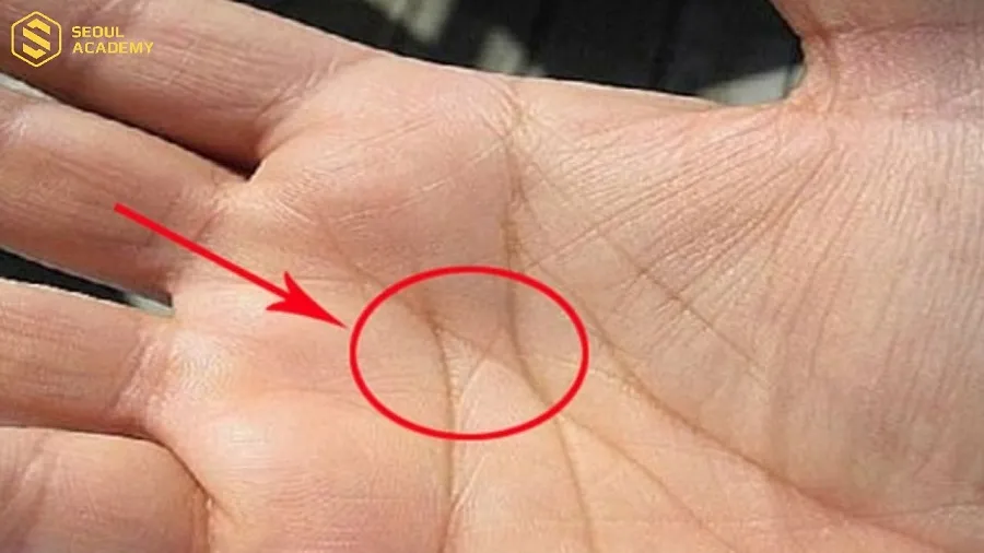 Đường chỉ tay xuất ngoại cần rõ ràng, không bị mờ nhạt