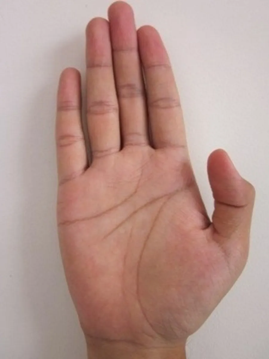 Các đường chỉ tay rõ ràng, nổi bật càng thể hiện sự thuận lợi khi xuất ngoại