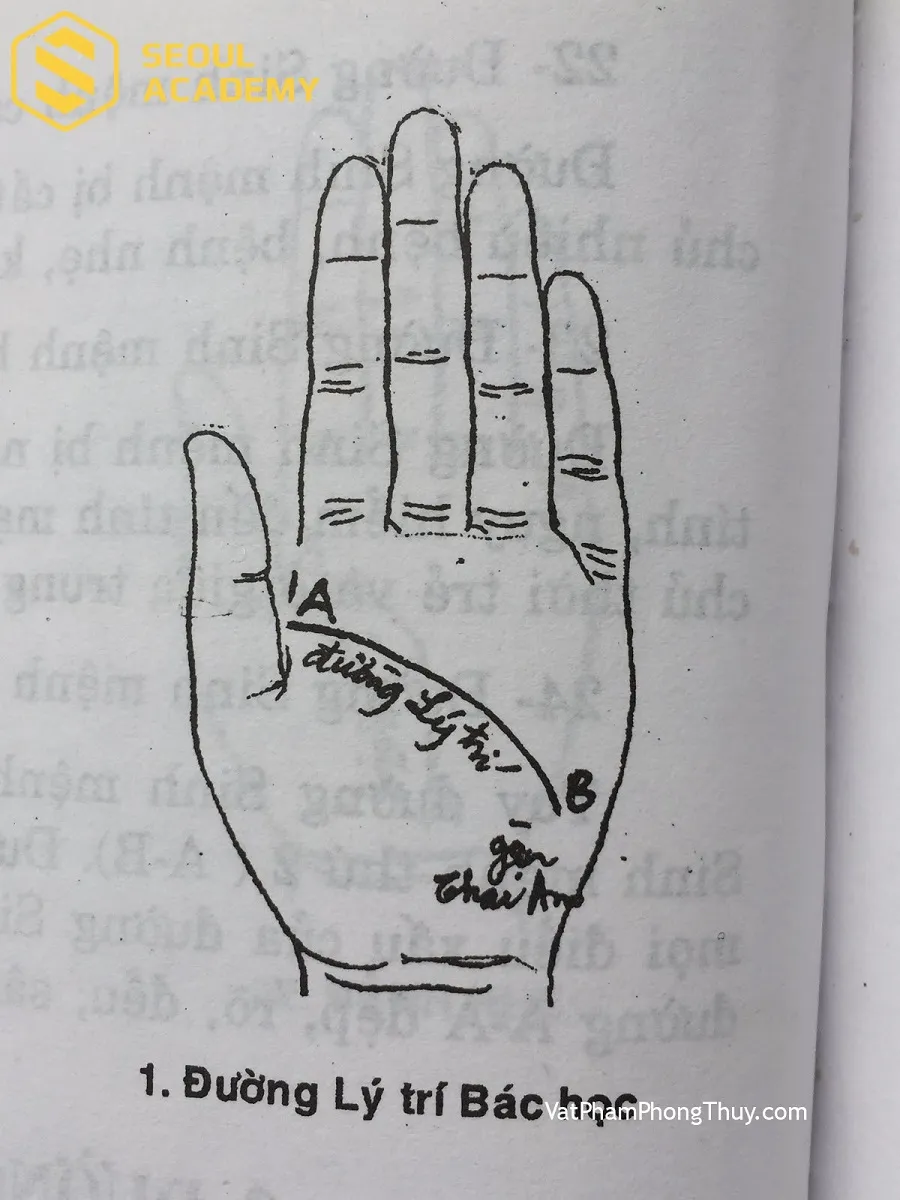 Nếu sở hữu đường chỉ tay này chứng tỏ bạn có duyên với con đường di chuyển đến nhiều đất nước khác nhau