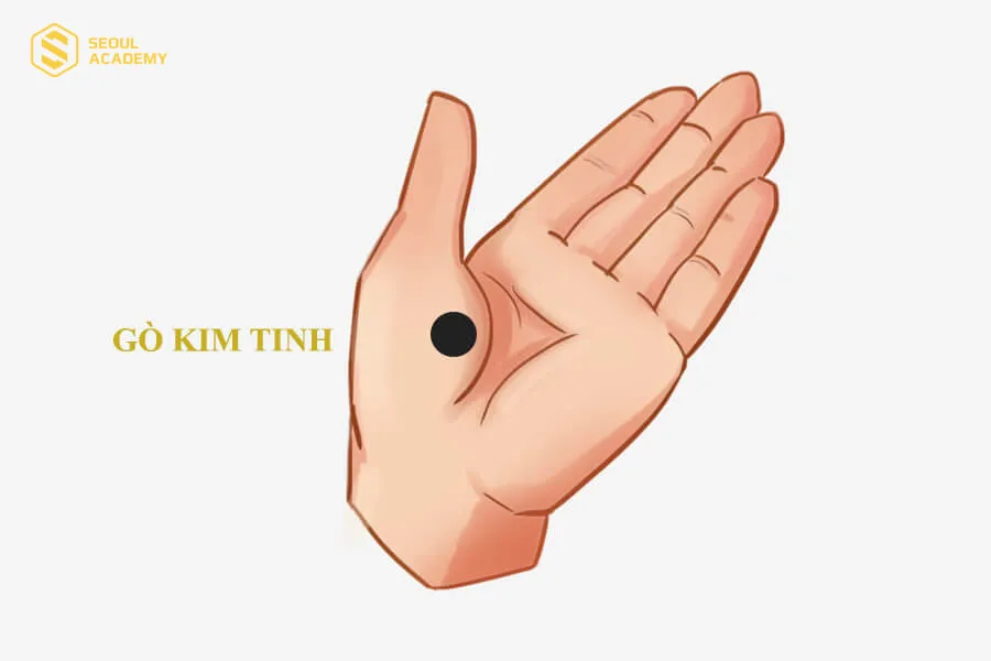 Gò Kim Tinh là đặc điểm để nhận biết đường chỉ tay tuổi thọ ngắn