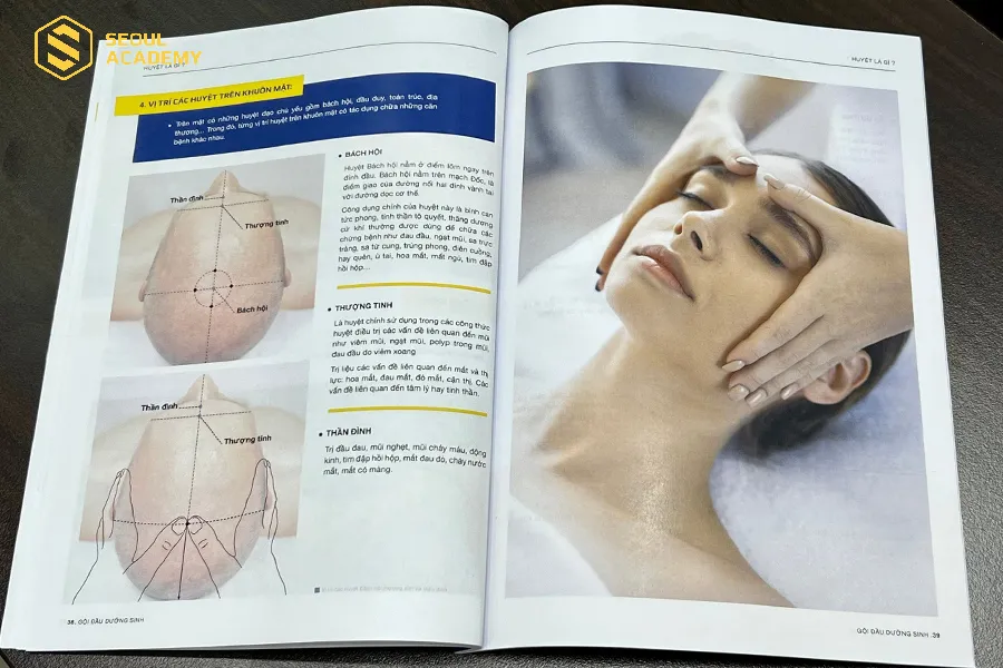 Giáo trình gội đầu dưỡng sinh được đầu tư bài bản Giáo trình gội đầu dưỡng sinh được đầu tư bài bản