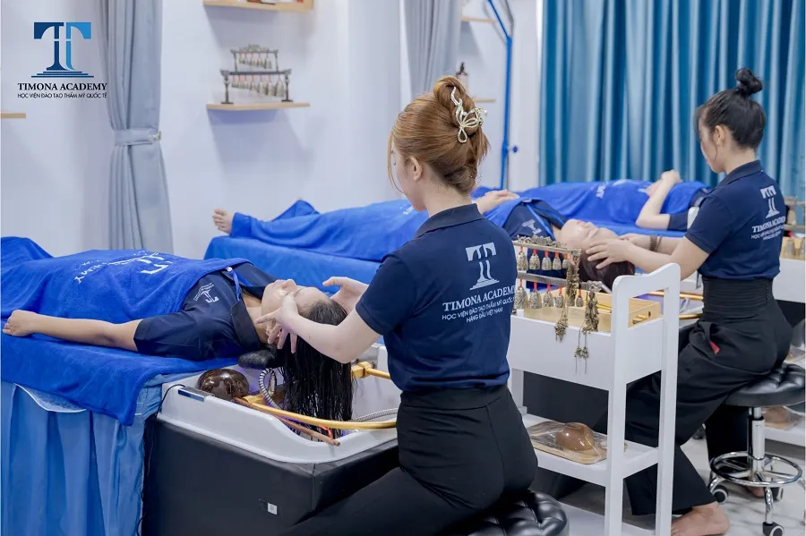 Các khóa học tại Timona Academy được thiết kế khoa học từ cơ bản đến nâng cao