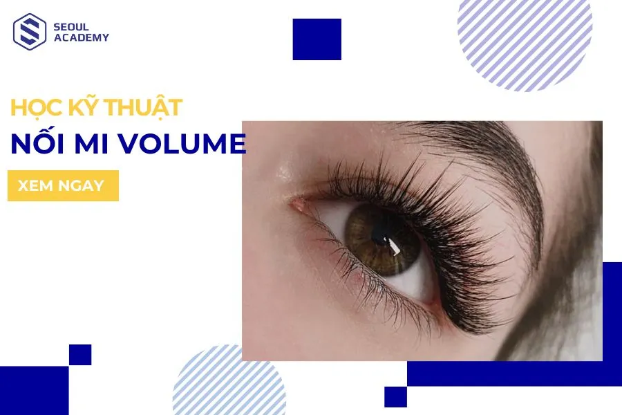 Học nối mi Volume