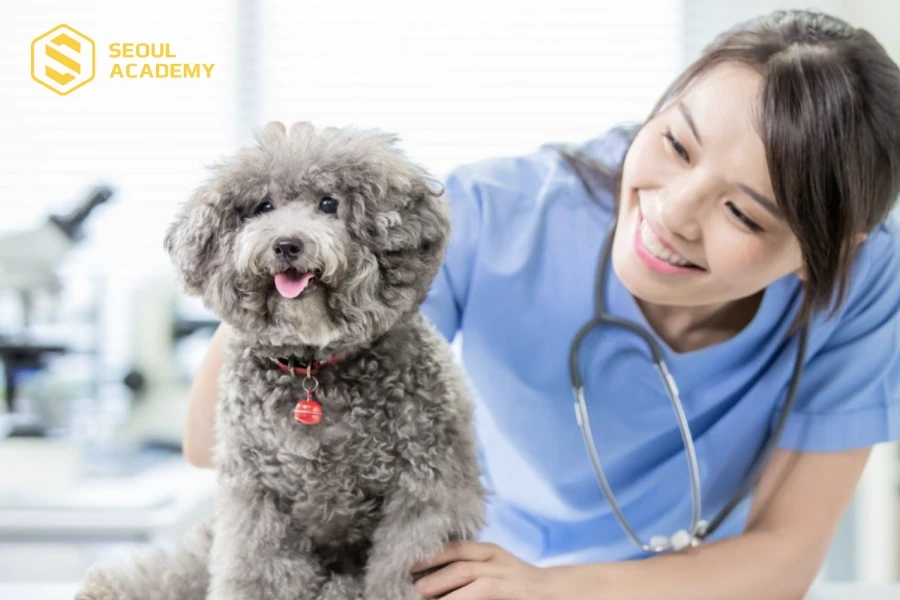 Ngành Thú y khá lý tưởng hiện nay