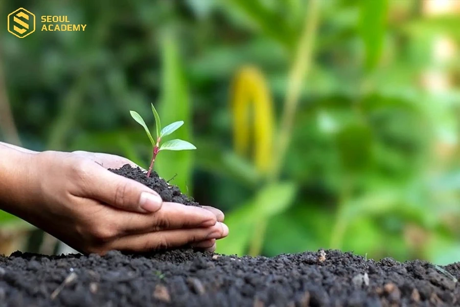 Bảo vệ thực vật cũng là ngành học tuyển sinh khối B03 hiện nay