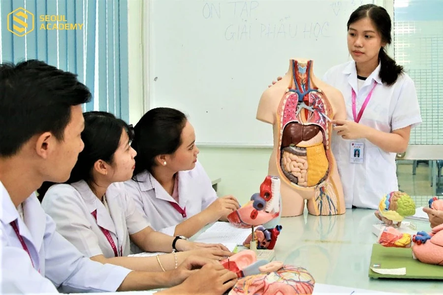 Hiện nay có nhiều trường đào tạo khối B03 uy tín