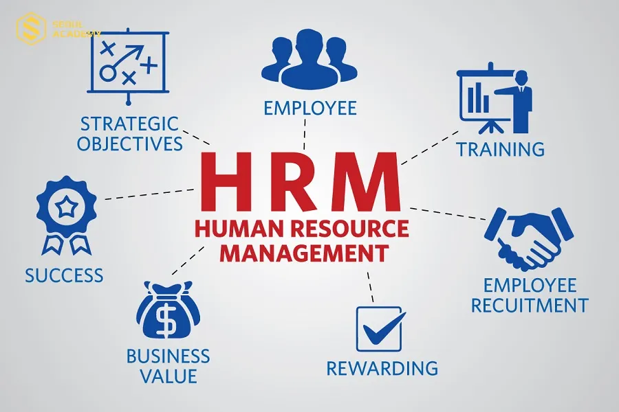 Tổ hợp C00 gồm những ngành nào, Quản trị nhân lực đang là ngành hot