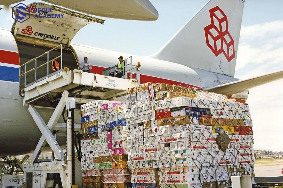 Các lĩnh vực kinh doanh sản phẩm và dịch vụ ngành hàng không