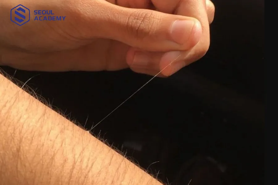 Sợi lông đặc biệt dài hơn bình thường