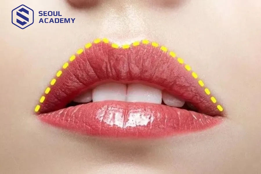 Môi trên dày hơn môi dưới mang mang một vận mệnh riêng