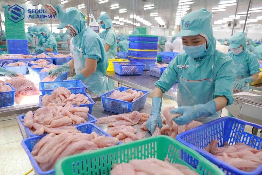 Ngành chế biến thực phẩm được nhiều chị em lựa chọn khi sang Hàn