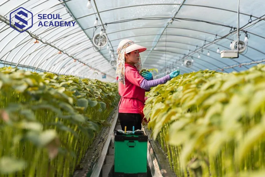 Công việc trồng trọt, chăn nuôi phù hợp với chị em phụ nữ Việt Nam