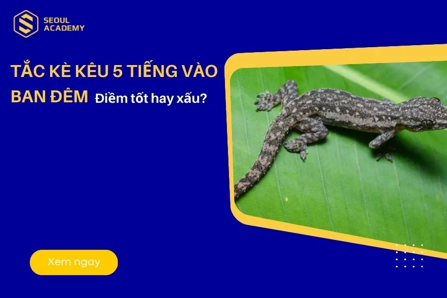 Tắc kè kêu 5 tiếng vào ban đêm