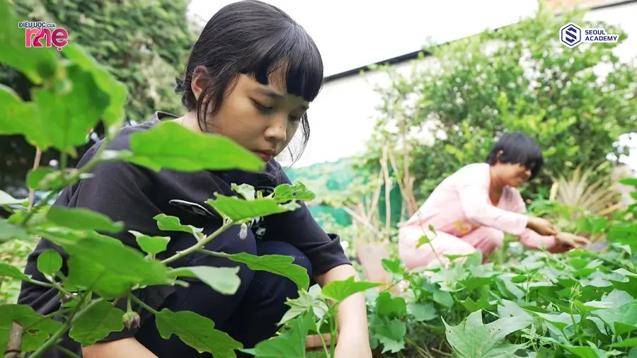 Bé Tuyết Nhi học giỏi, siêng năng, học giỏi, có thời gian rảnh cô bé luôn phụ mẹ hái rau phụ giúp gia đình