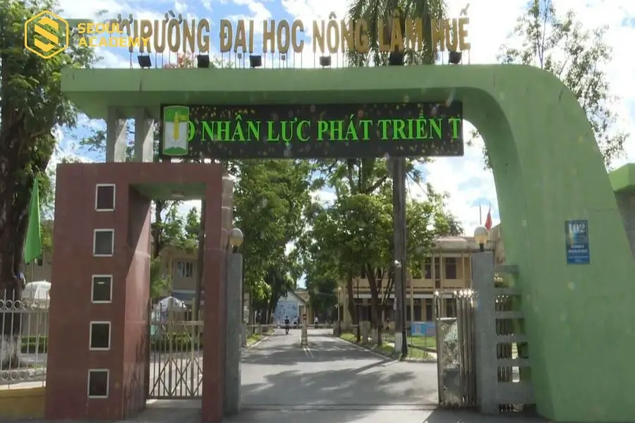Đại học Nông Lâm Huế