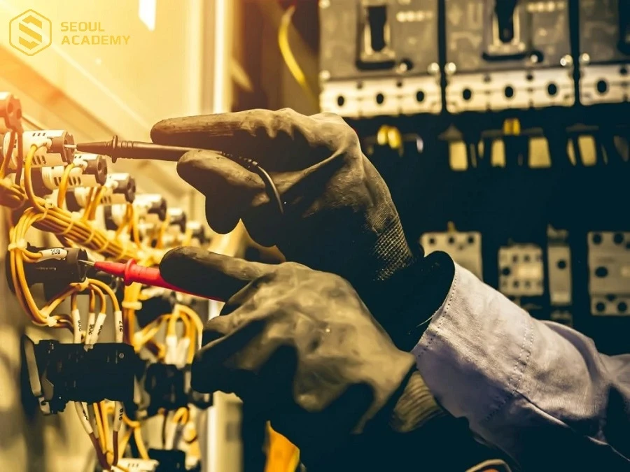 Bước quan 24 tuổi nên học nghề gì cũng là mối quan tâm của rất nhiều người