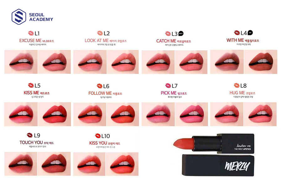 Bảng màu son merzy vỏ đen thỏi The First Lipstick