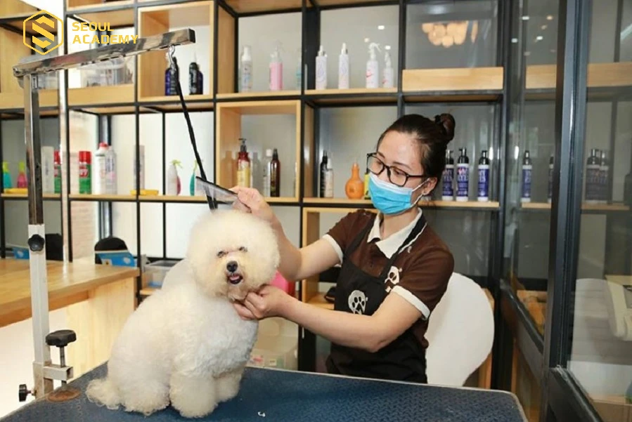 Công việc chăm sóc thú cưng chỉ cần có tình yêu thương động vật, ít giao tiếp