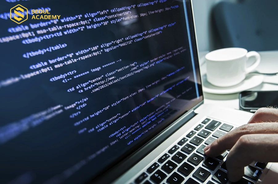 Làm lập trình viên cũng khá phù hợp với người hướng nội