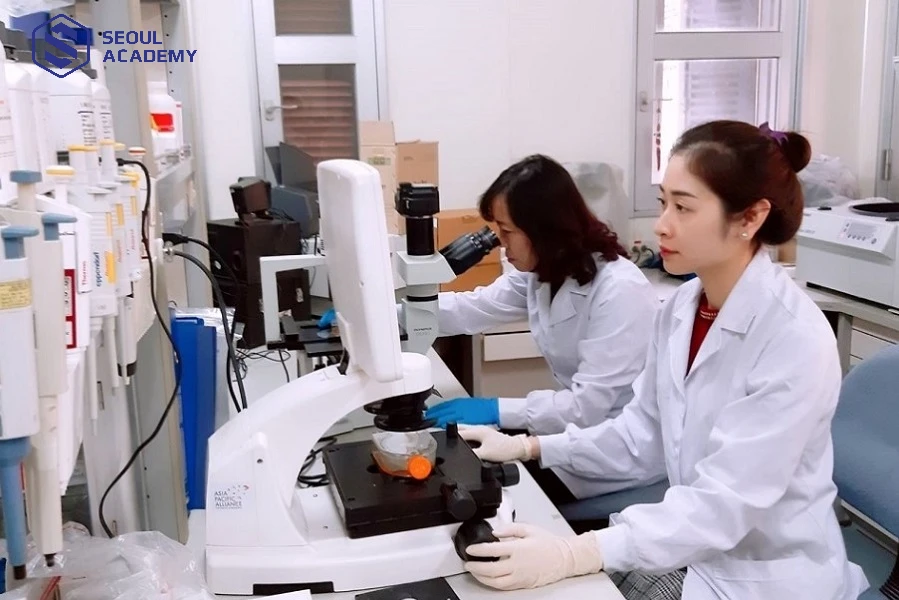 Công việc nhà nghiên cứu khá phù hợp cho người tỉ mỉ