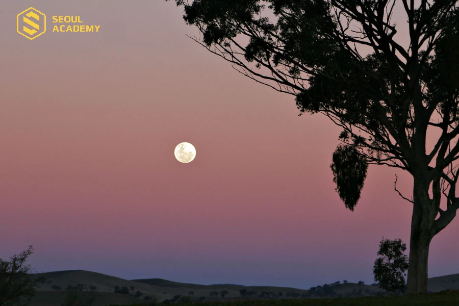 Những ngày giữa tháng cũng không thích hợp cho việc cắt móng tay