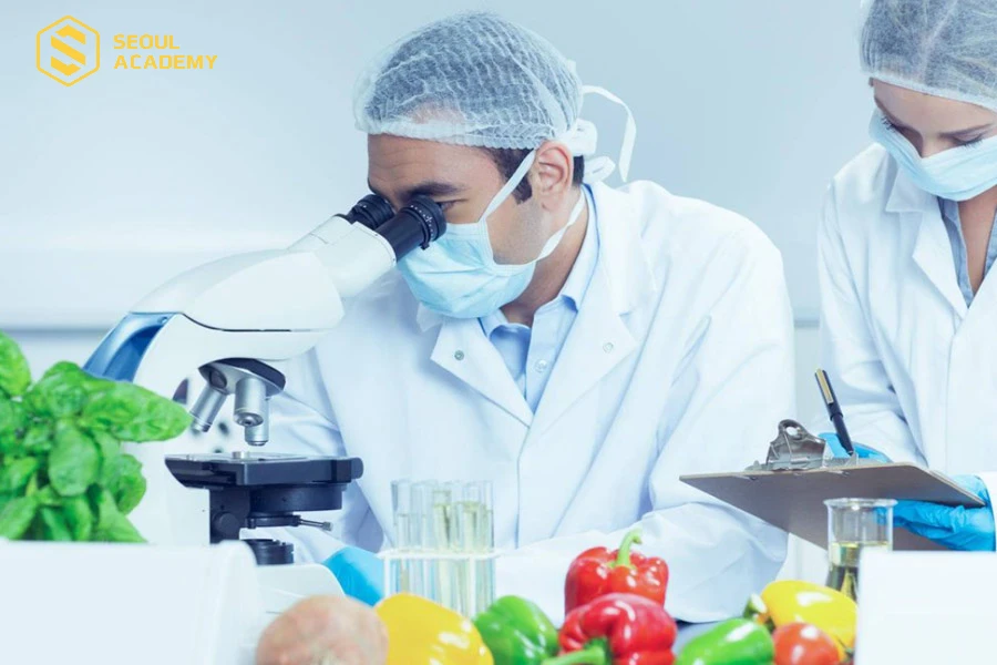 Trường Đại học Mở Hà Nội chuyên đào tạo ngành công nghệ thực phẩm