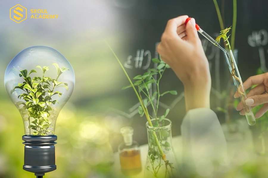 Nước ta chưa thực sự chú trọng phát triển ngành công nghệ môi trường